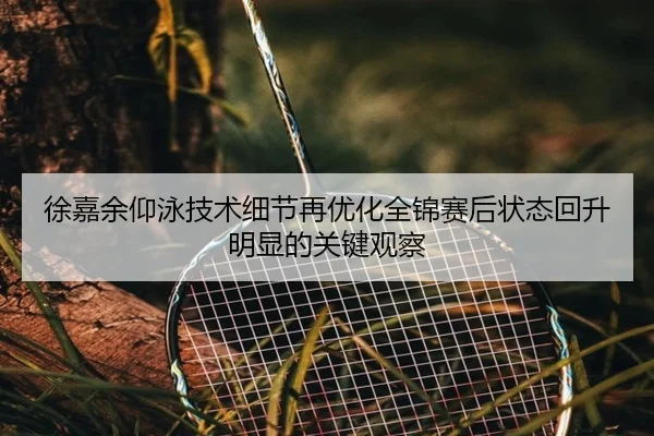 徐嘉余仰泳技术细节再优化全锦赛后状态回升明显的关键观察 - KaiyuanGames